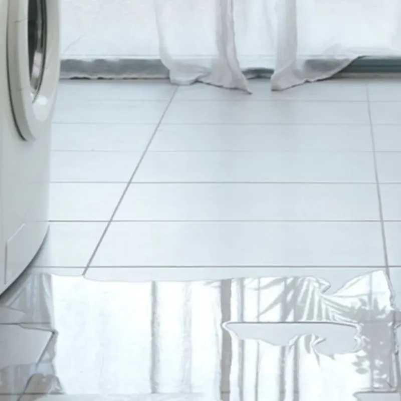 Appliance Leak Cleanup in Echo Park, CA
