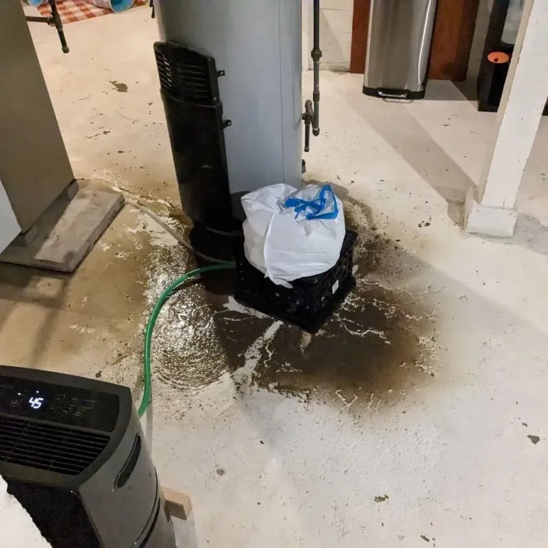Sewage Backup Cleanup Service in Echo Park, CA